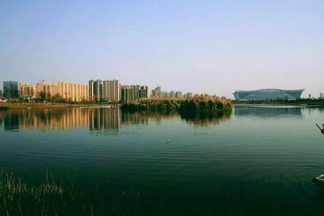 住在南门的人,收藏夹里藏了啥