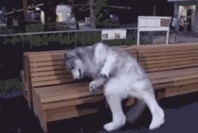 日本潮牌店supreme地址,潮牌supreme值得入手吗