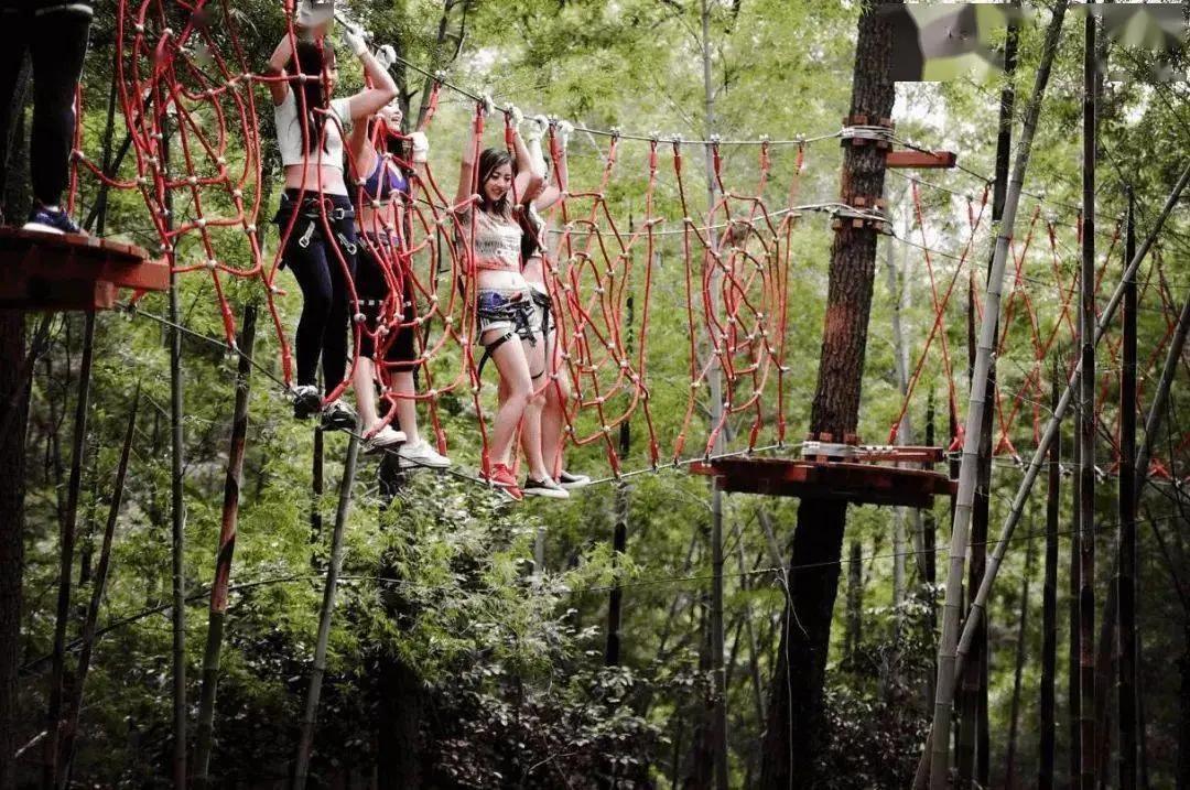 室外儿童游乐设备网红项目,网红无动力游乐设施项目