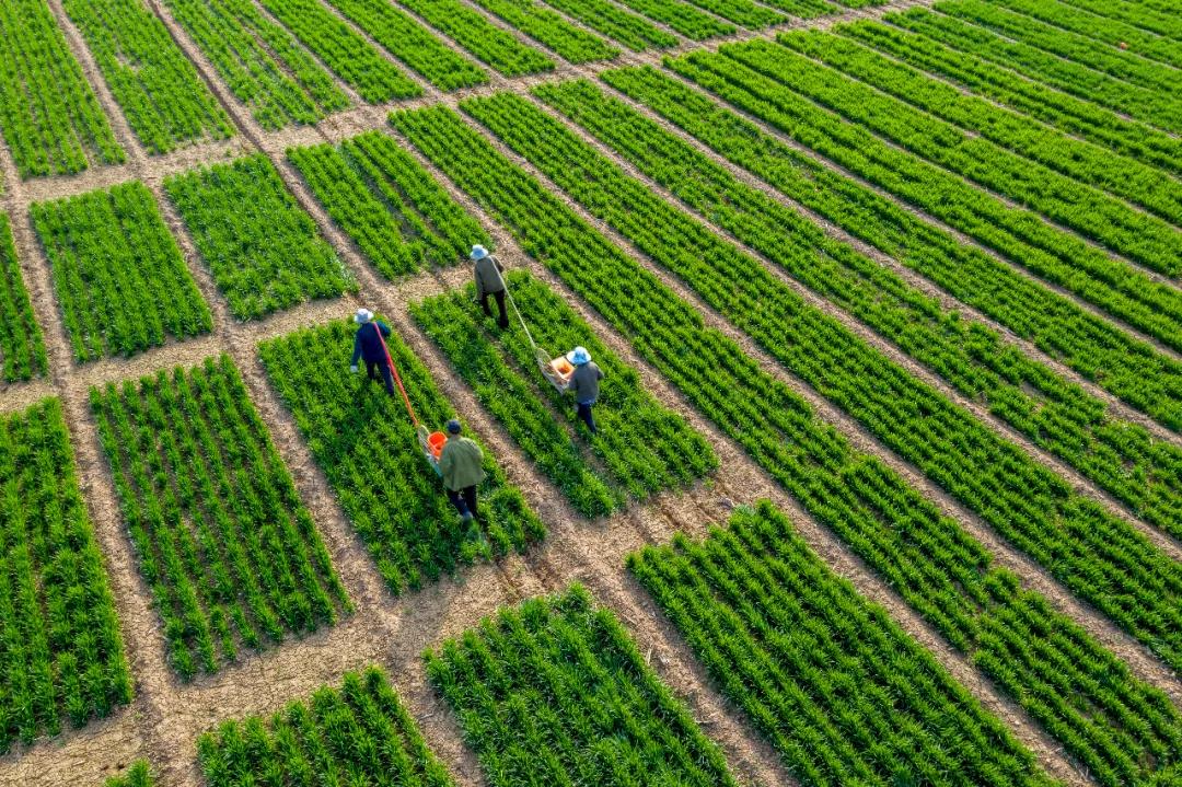 e起助力同心战“疫”——优秀网络作品展示（七）