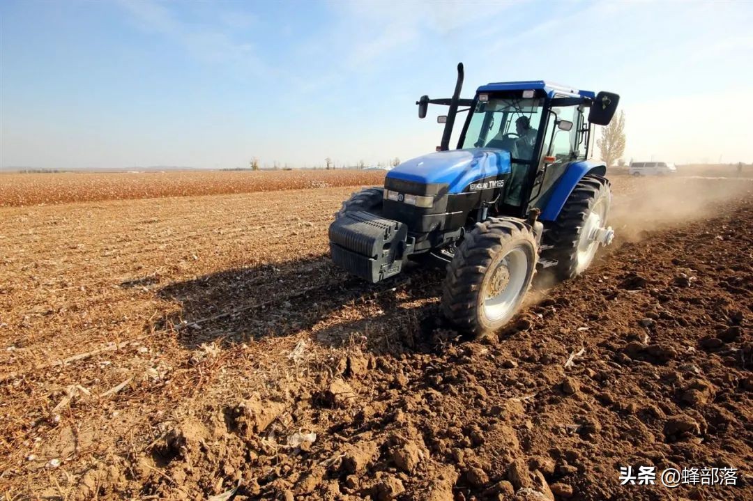 农村赚钱项目,农村可以做哪些简单赚钱小项目