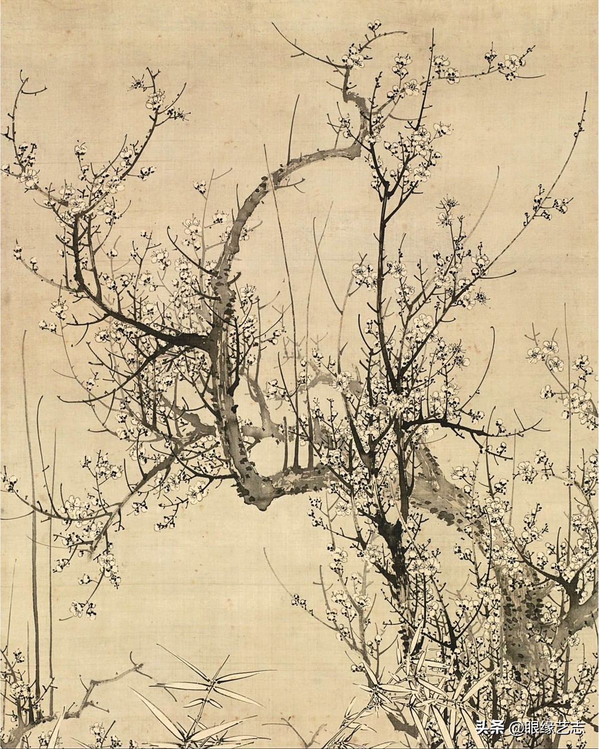 日本100幅中国古代绘画,日本花鸟绘画欣赏