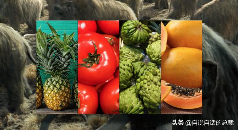 牛油果是坏了吗,牛油果几十年前