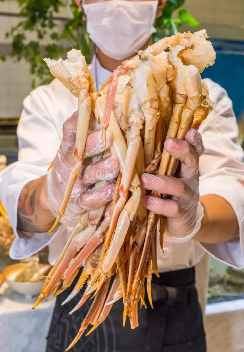 帝王蟹波龙象拔蚌,陆家嘴帝王蟹