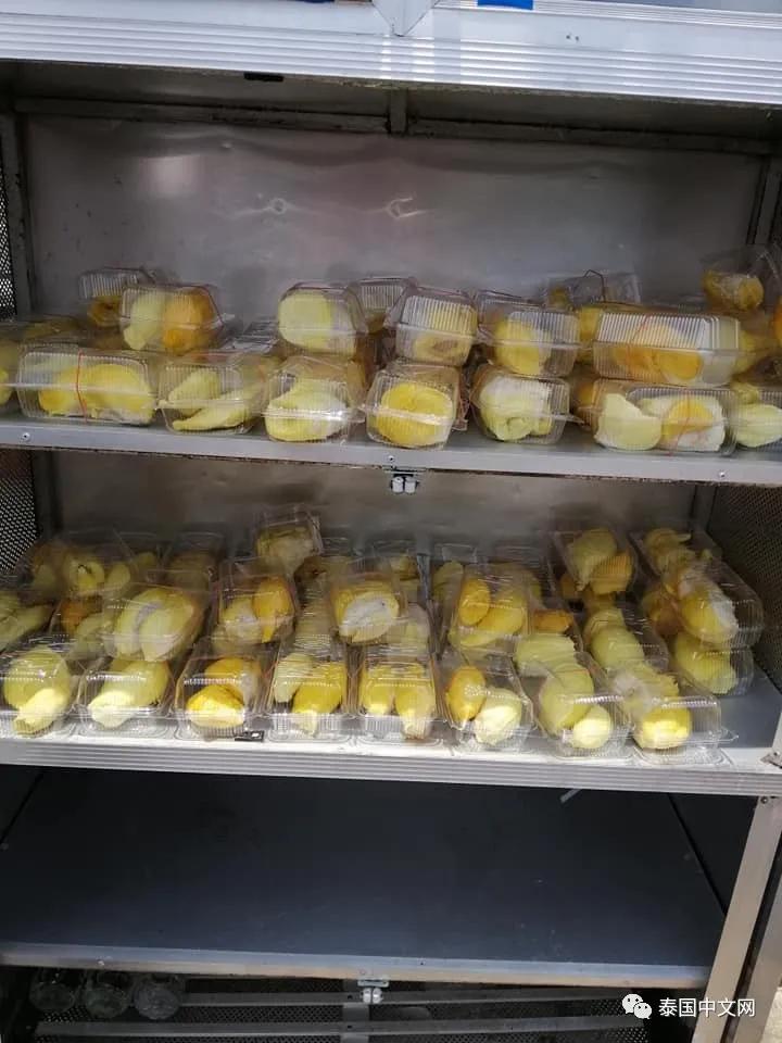 人性经不起挑战,人性经不起挑战和考验