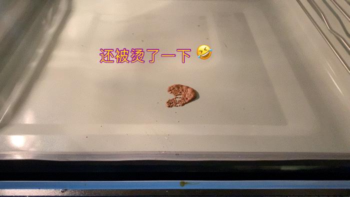 2023蒸烤一体机嵌入式推荐排名,2022哪款嵌入式蒸烤一体机好用