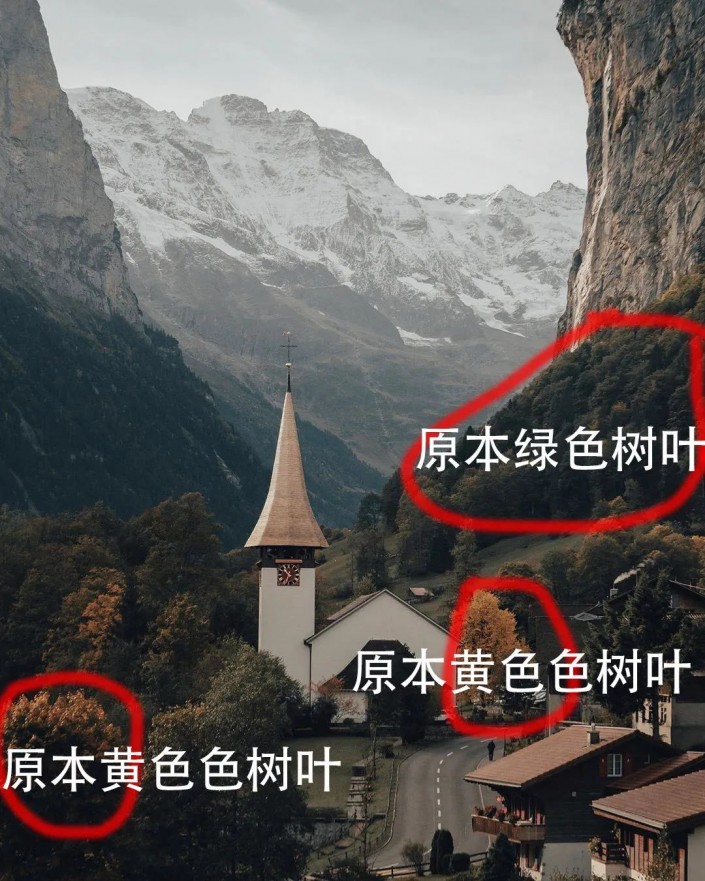 ps莫兰迪绿调色方法,ps莫兰迪高级灰最好教程