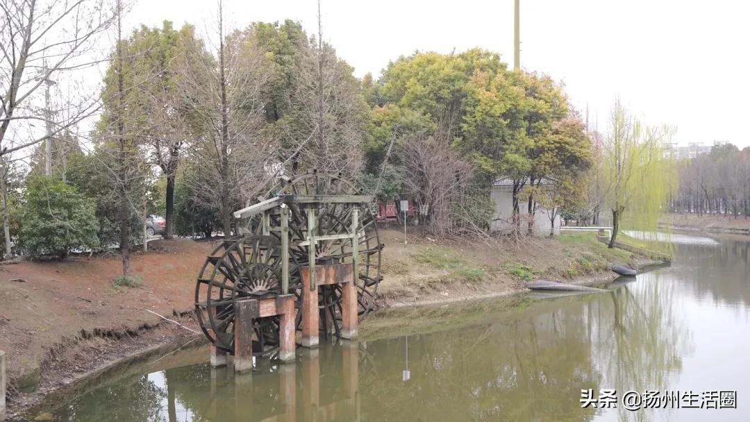 2元花盆批发清仓,2元花卉批发市场