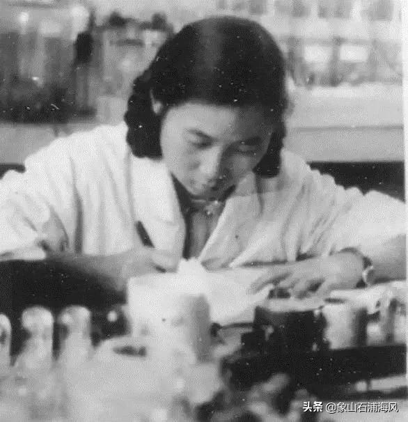 屠呦呦获奖的科学家,屠呦呦有诺贝尔奖吗