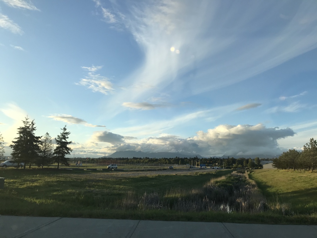 请不要草率做决定,很多事情要去尝试才知道适不适合