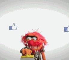 领导爬山朋友圈怎么点赞,领导的朋友圈需要点赞