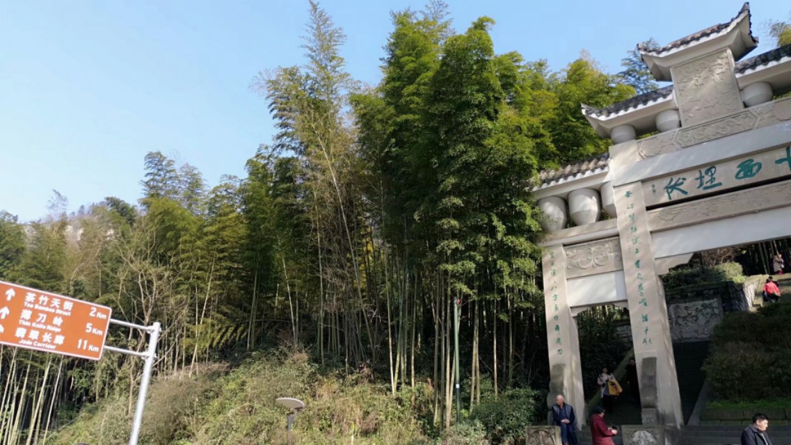 重庆永川茶山竹海天气预报15天,重庆永川茶山竹海攻略