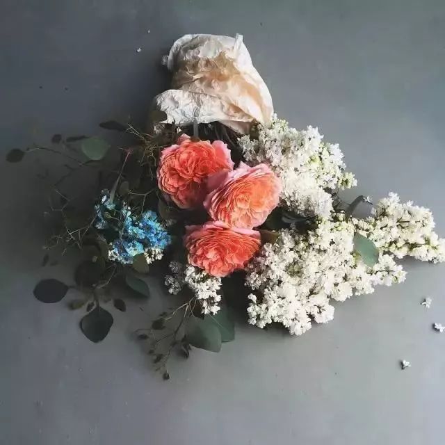 买回来的一束花如何插花,下班路上买一束花然后试着插花