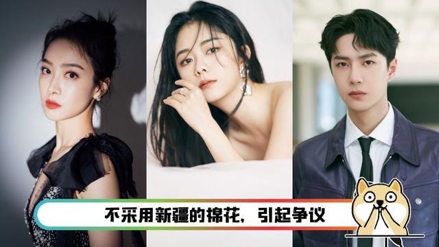 外国品牌辱国事件后续影响,辱华国际品牌事件