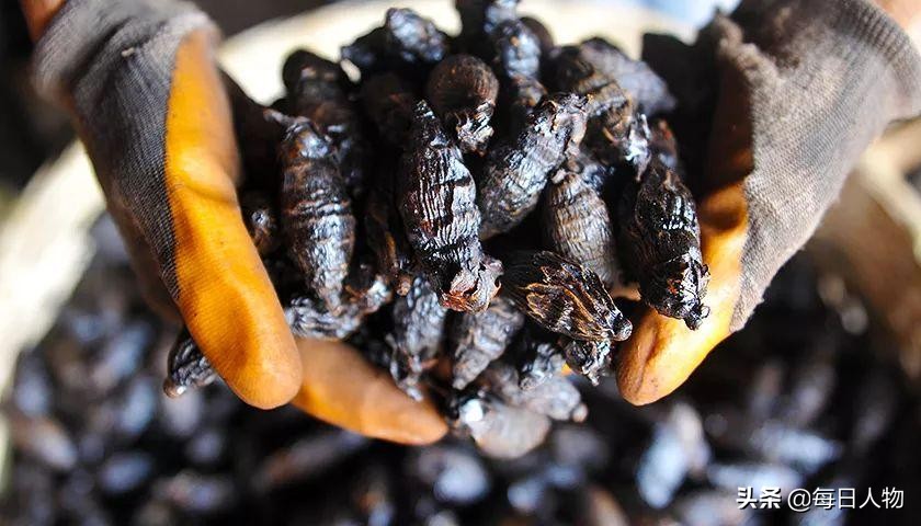 湖南人吃槟榔致癌率,槟榔致癌为何允许生产