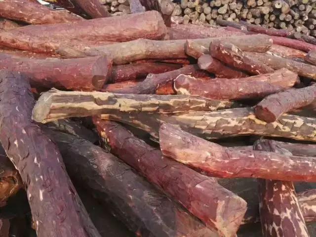 血檀种类,血檀排第几