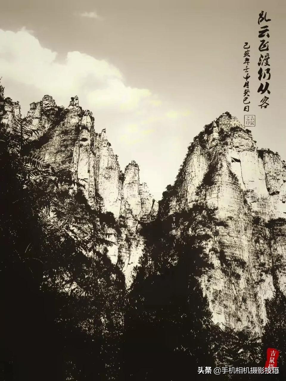 学摄影要听前人话吗,摄影小白零基础学摄影图片