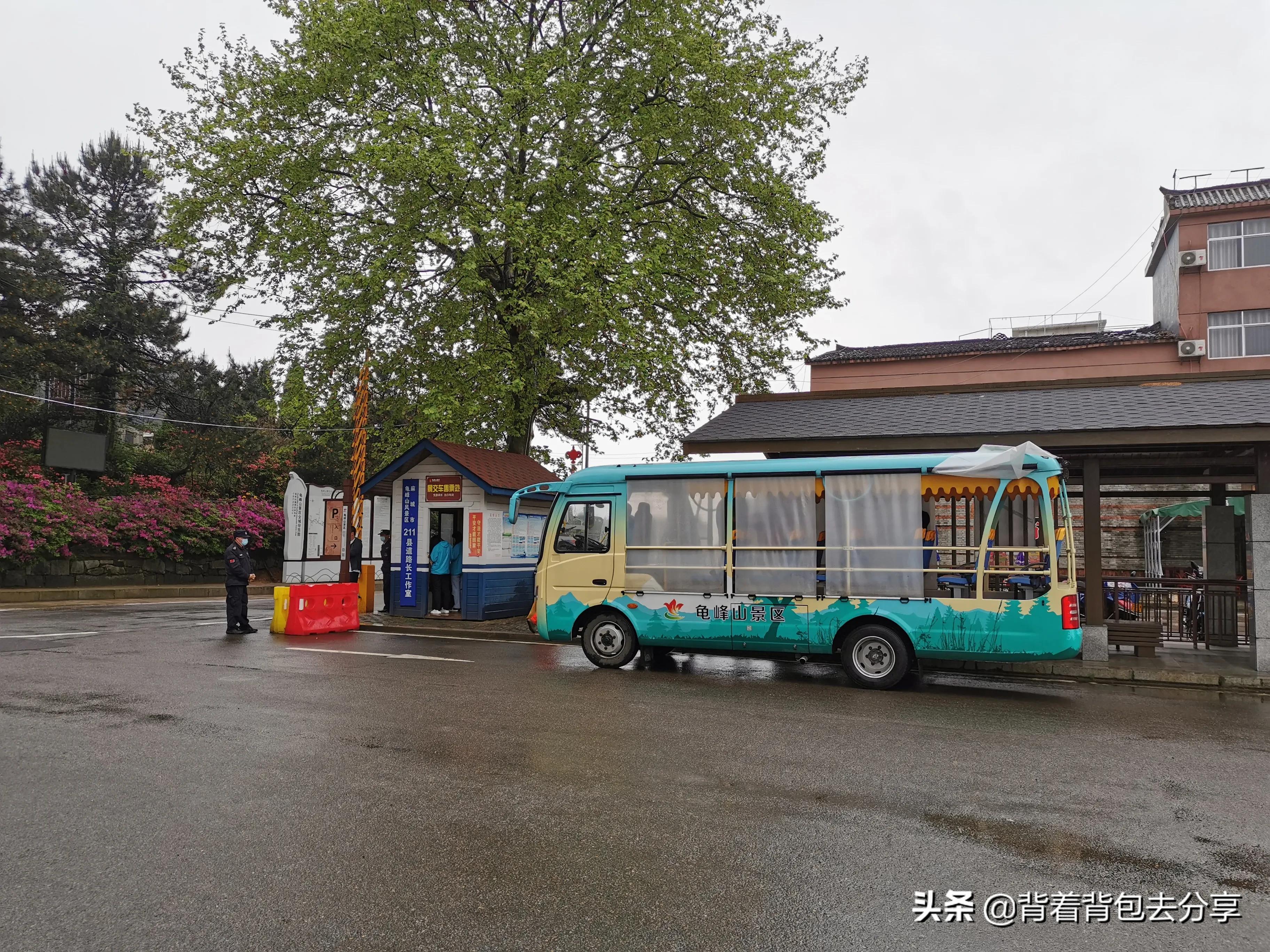 麻城看杜鹃花攻略,去麻城看杜鹃攻略