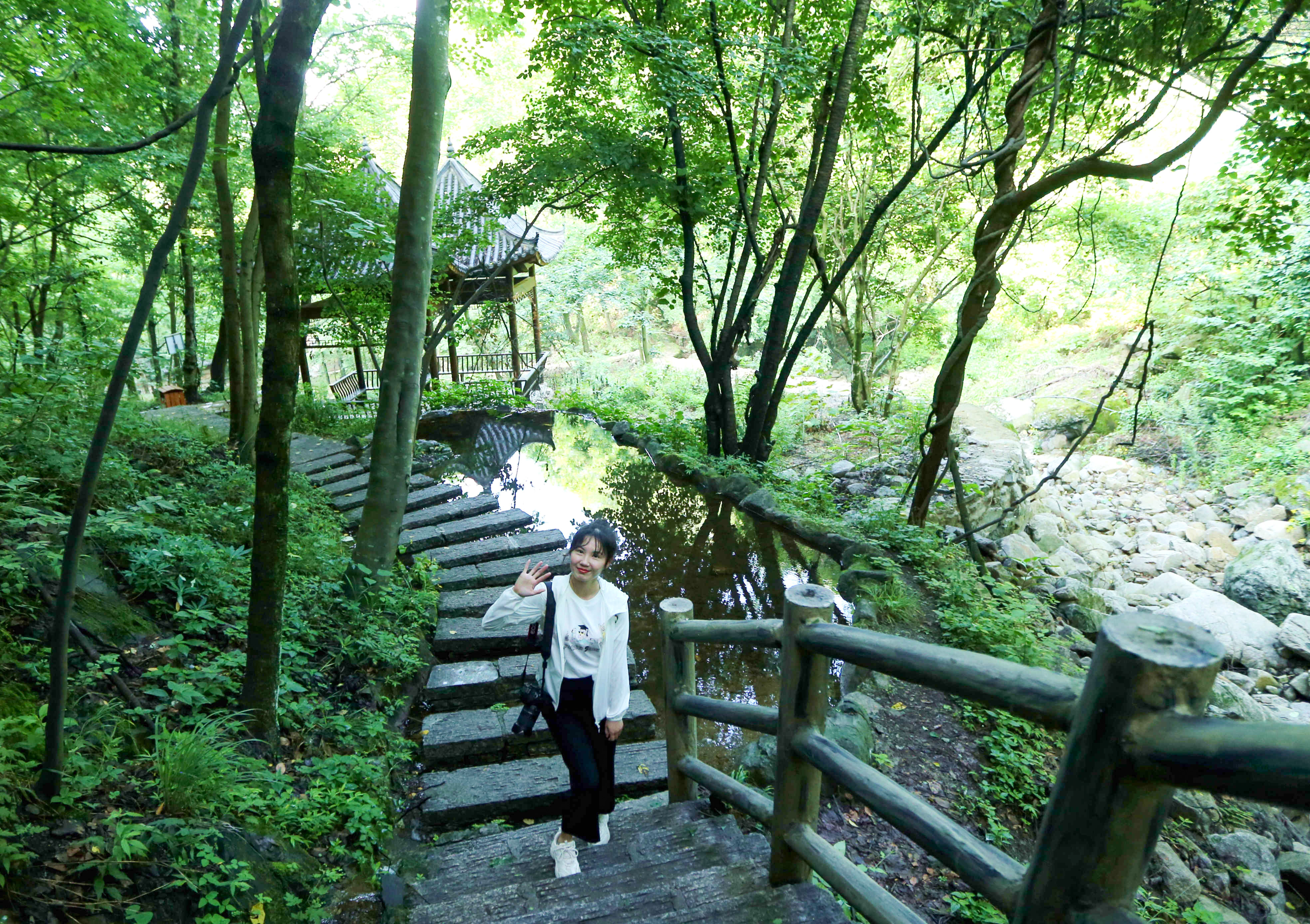 河南安逸浪漫的景点,河南爱丽丝岛风景森林小木屋