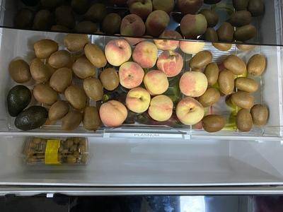 日立冰箱r-hv490nc测评,日立冰箱r系列怎么样