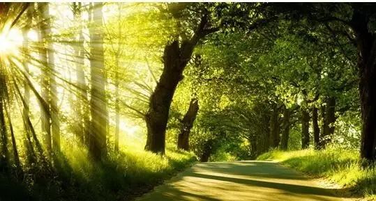 瀚林澜山｜139平住宅现房均价12000元/㎡仅剩最后20套房源