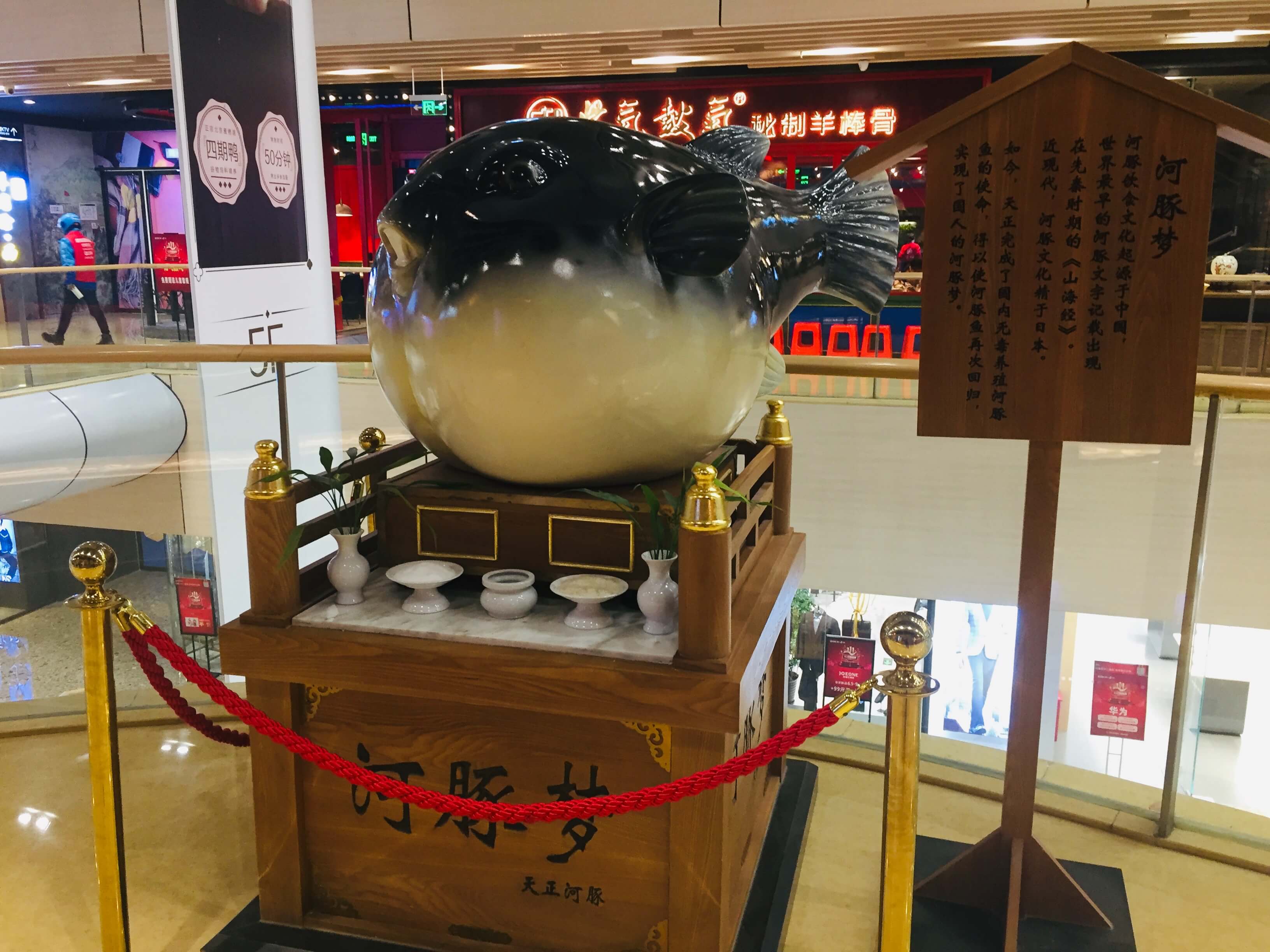 第一次吃河豚说说,第一次吃河豚鱼的感觉