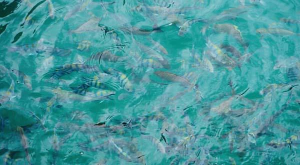 分享轻松游玩吃好买好的泰国旅游攻略，一趟旅行玩遍3座城市