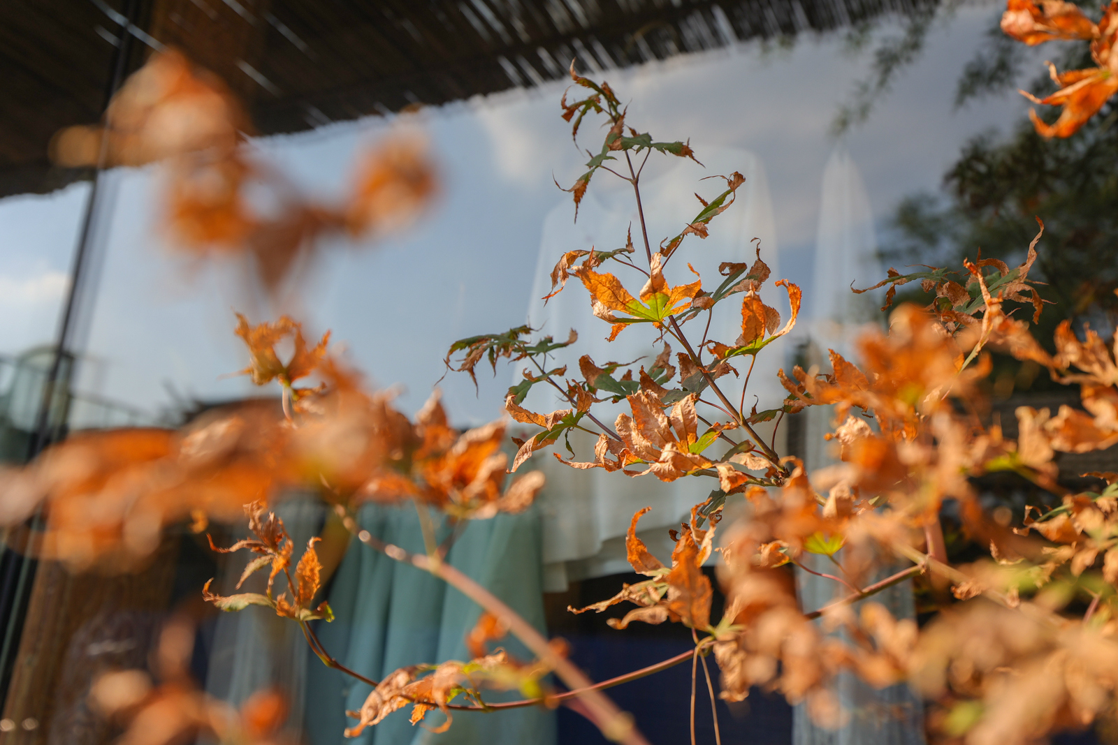 进阶玩家,佳能eosr6上手全画幅微单新标准