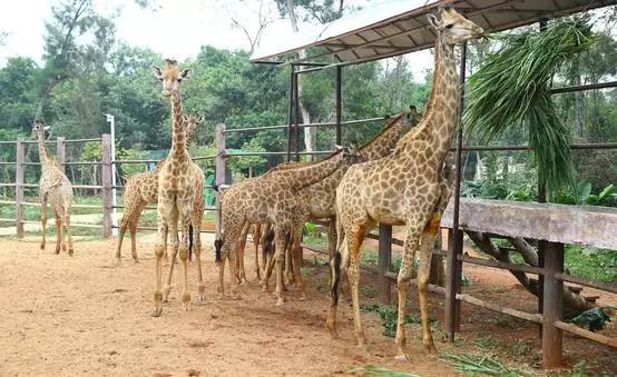 海口地图之「秀英生活指南」