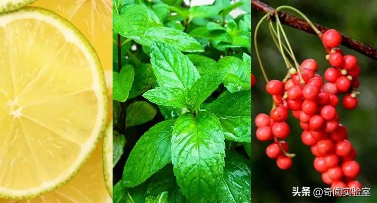 专治牙黄口臭的小窍门,牙黄口臭用什么牌子牙膏刷牙最好