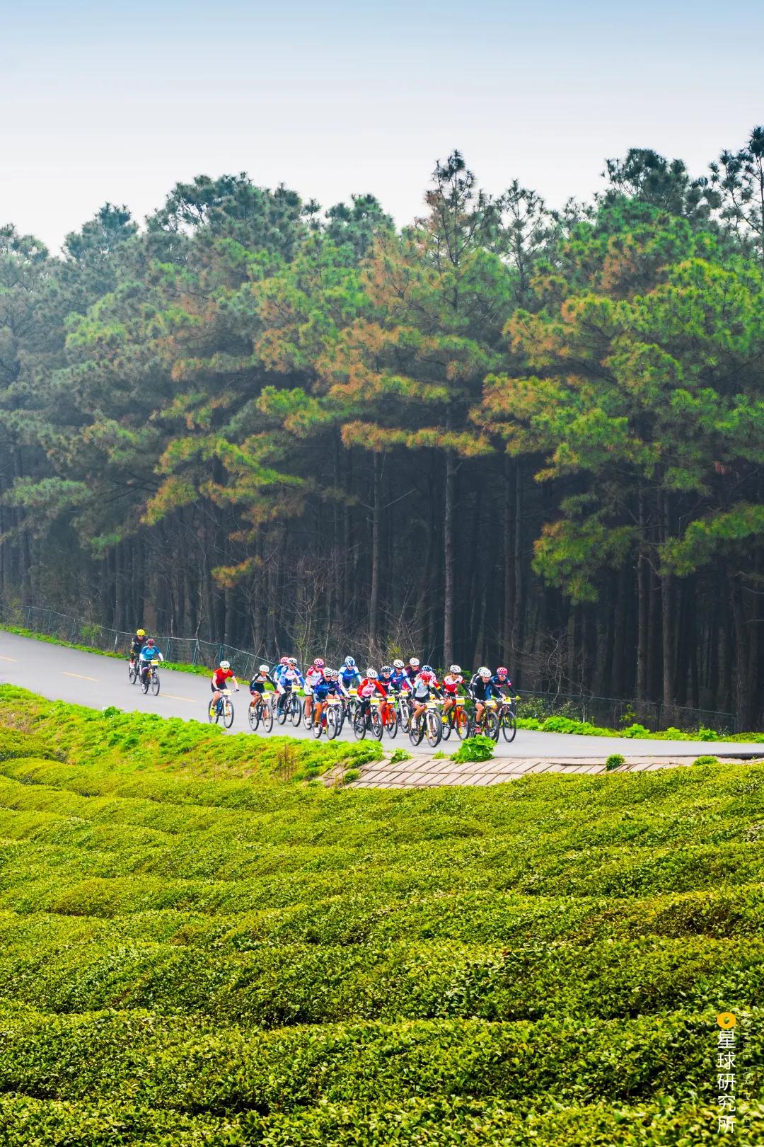 南京高淳哪个区发展最好,南京高淳值得去的风景区免费