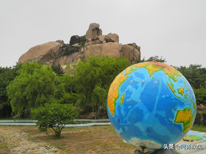 青岛二中2019高考成绩,经验分享大学专业