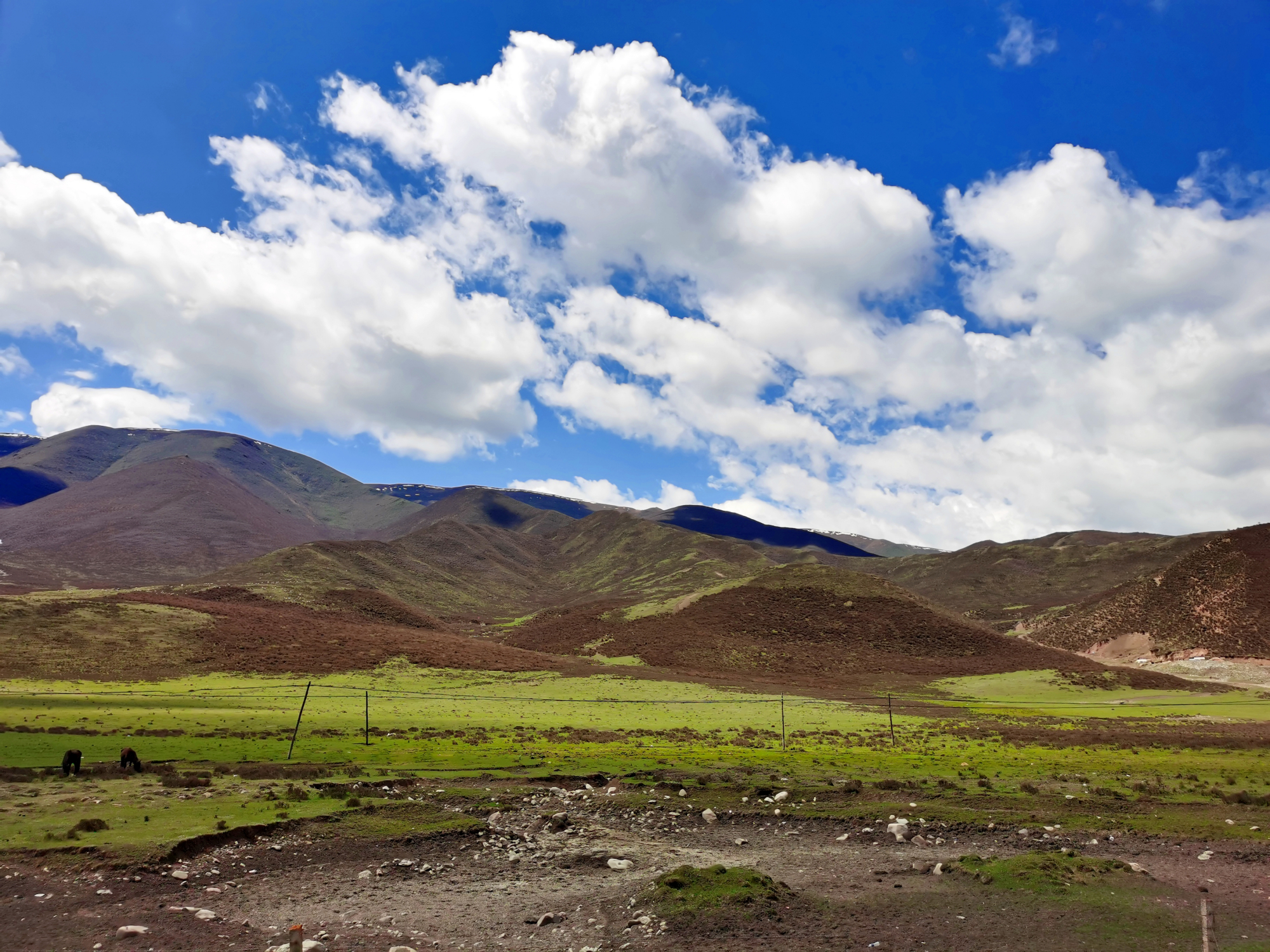 吉乃尔湖青海版马尔代夫,东台市马尔代夫