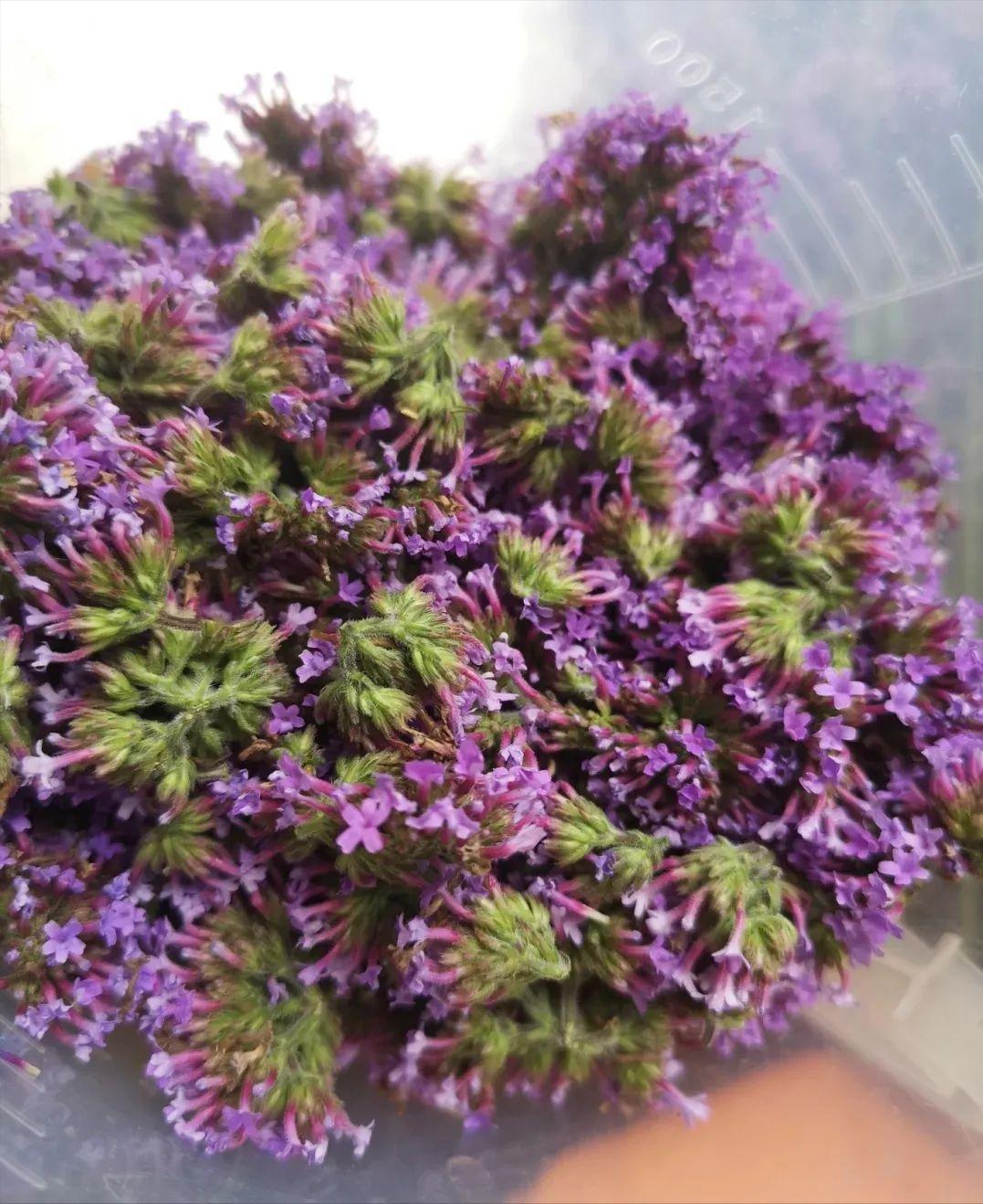 浙江孩子暑假,宁波暑期孩子游玩