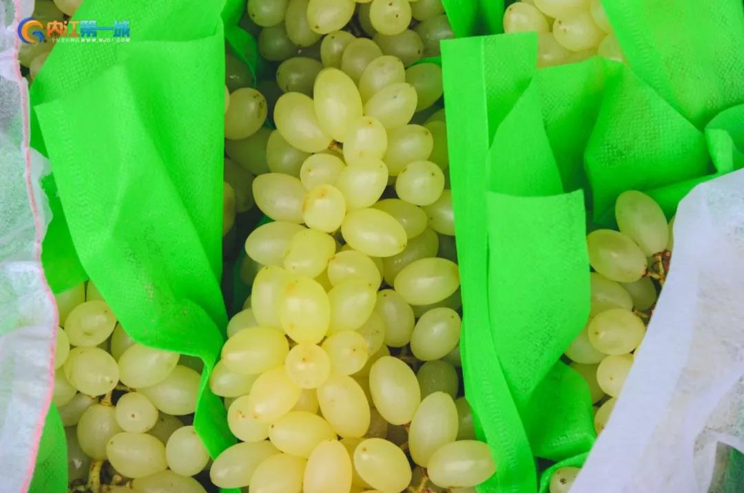 四川内江有哪些水果批发市场,内江最近的水果市场