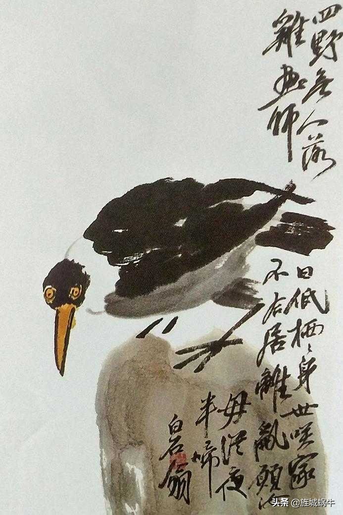 一学就会的禽鸟画法书,禽鸟的画法大全图解