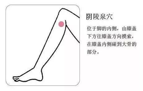 一夜春雨万物醒,一夜春雨滋润万物