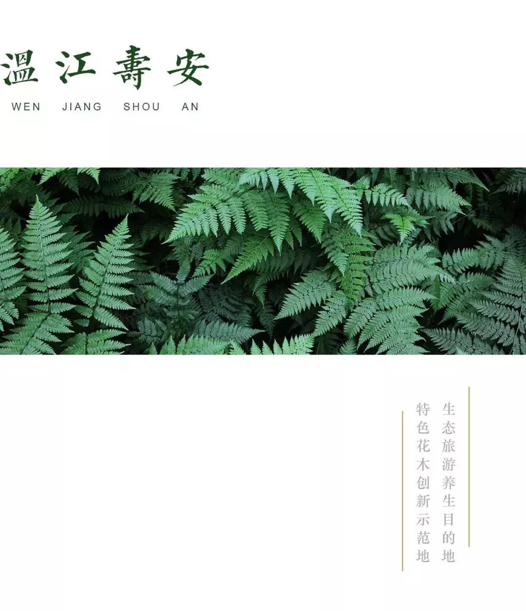 “古蜀寿安杯首届高校植物编艺创意设计邀请赛”结队仪式