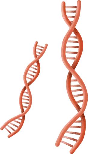 桃李不言，下自成蹊——家长为阜新矿工街小学教师赠送锦旗