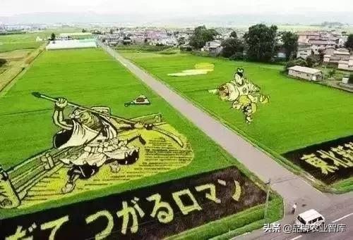 变态的日本农业：敬畏自然、超前思维、死磕单品！