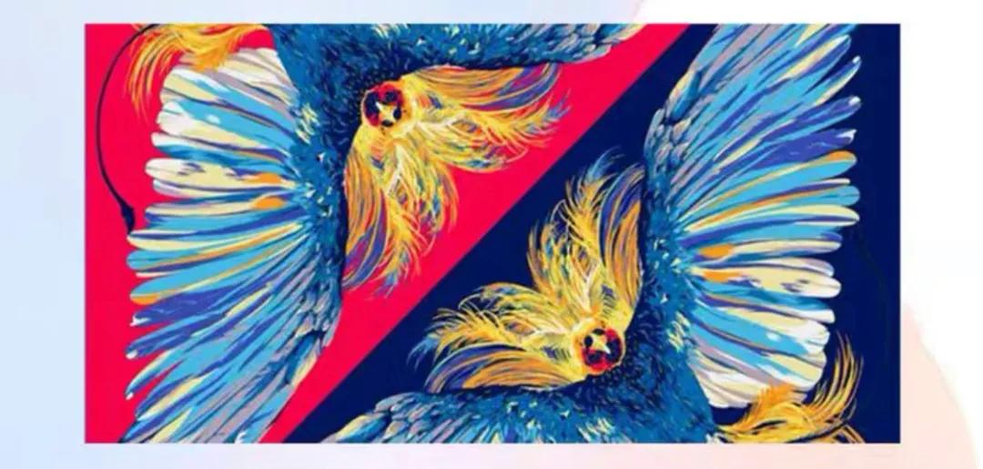 优雅女人必学的几种丝巾,优雅的人为什么有丝巾