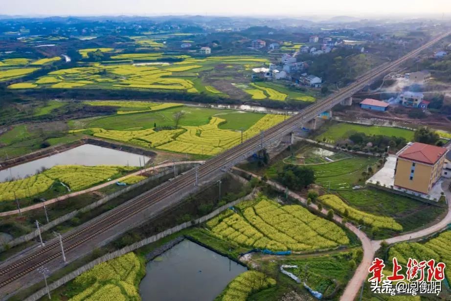 元旦抢火车票几点开售,衡阳火车站几点抢票