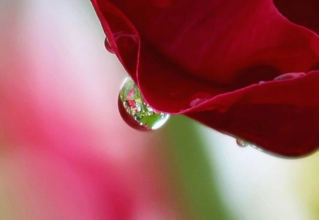 水样心情,水样情怀
