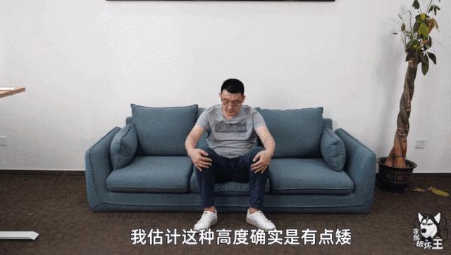 源氏木语布艺沙发评测,源氏木语沙发真实图片