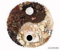 梁冬对话郭生白第二讲,梁冬对话郭生白伤寒论第九集