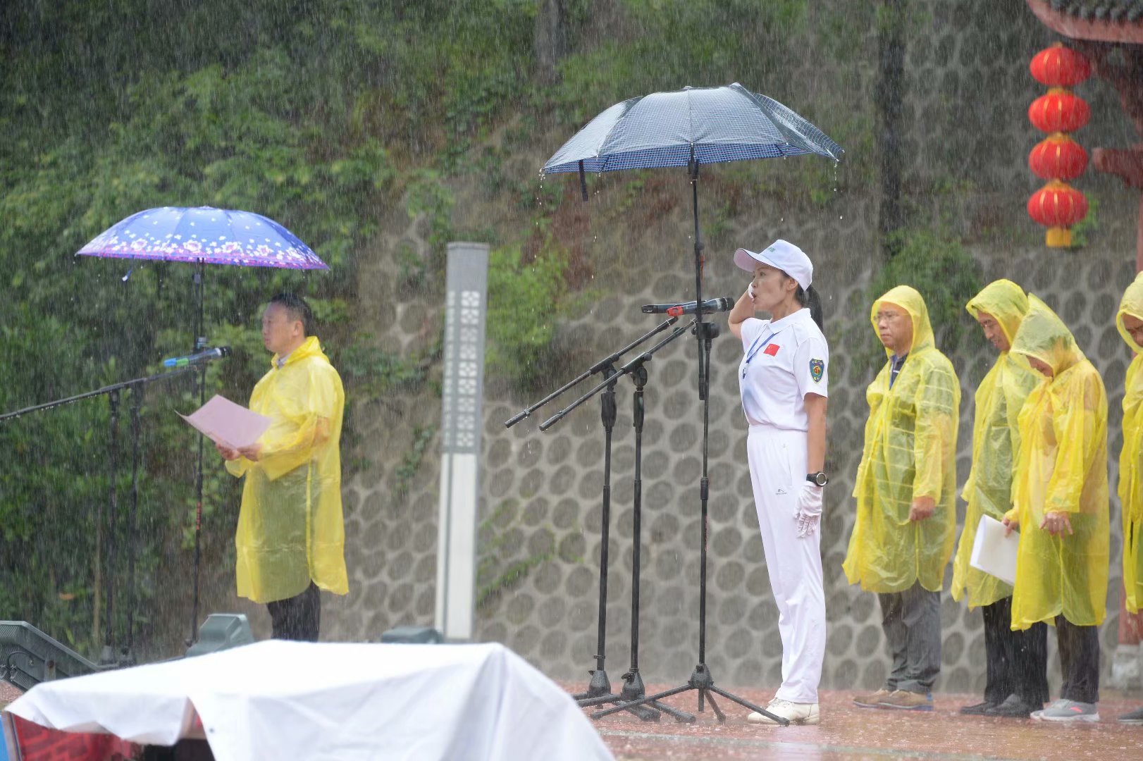 六月回忆儿时校园,六月回忆童年