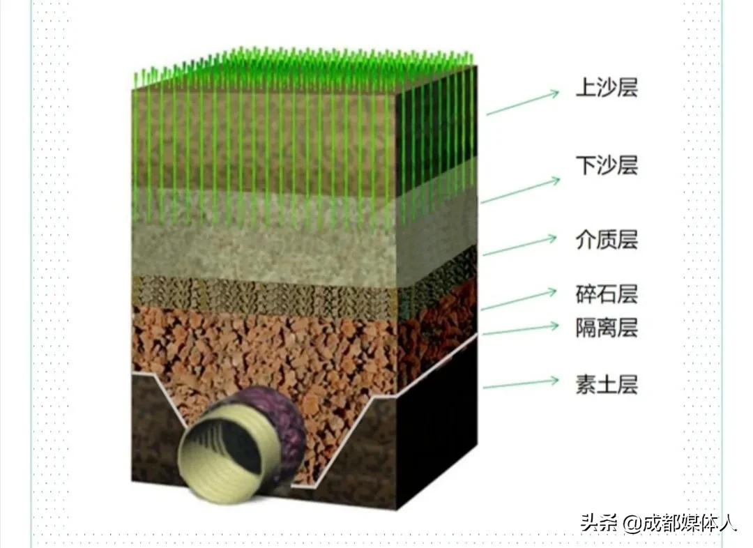 凤凰山体育公园今天干啥,凤凰山体育公园最新消息