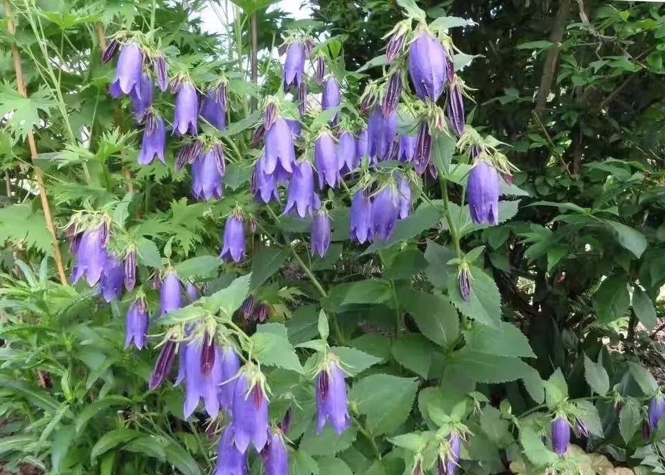 做好这三点你才能成事,做好这三点淡斑效果翻倍