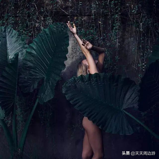 她在世界各地拍下裸照,吸引了8000万的粉丝,却没有一张是色情的