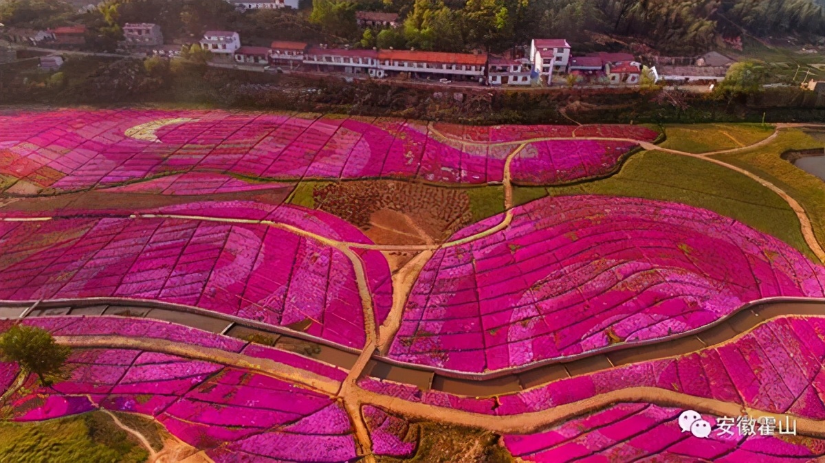 长三角城市群最佳旅游线路,长三角示范区旅游详细攻略